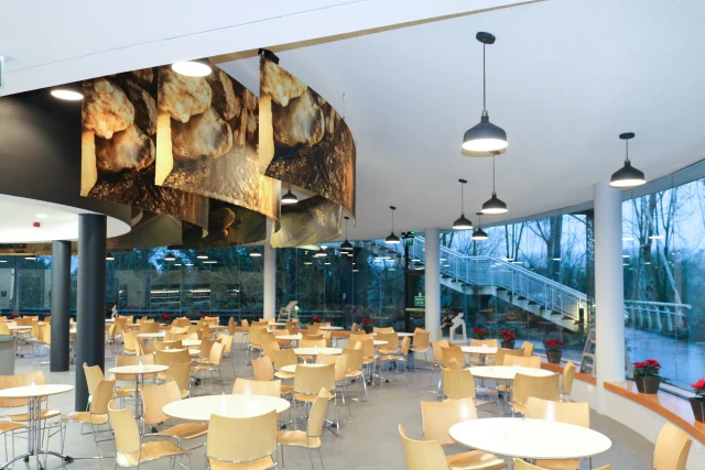 Advanced Soundproofing for Healthy Indoor Environments