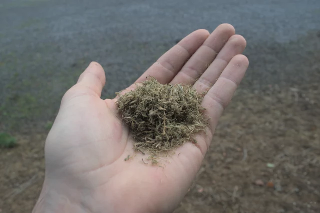 Breaking Ground with New Grass and Jute-Based Insulation