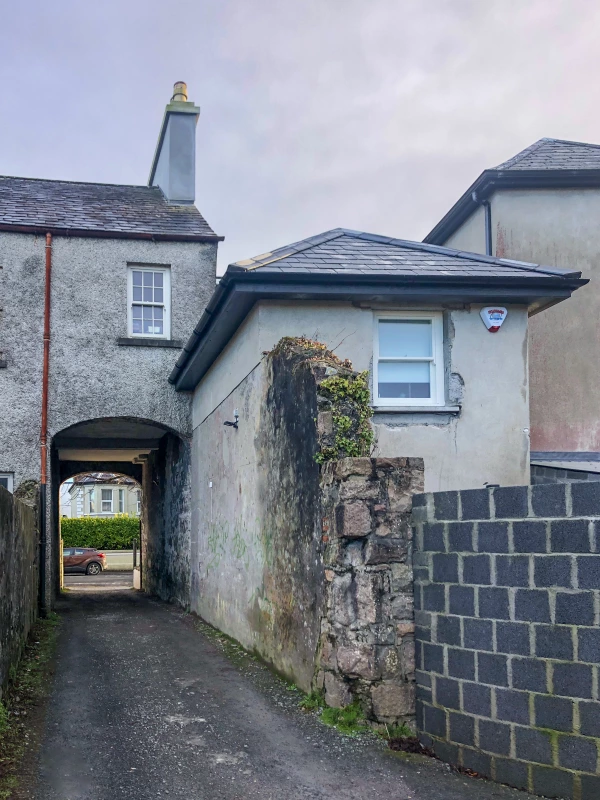 The back of a period townhouse in Galway