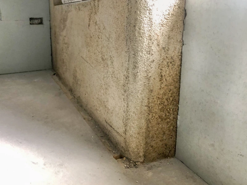 Diathonite Evolution at the base of an internal wall during the drying stage